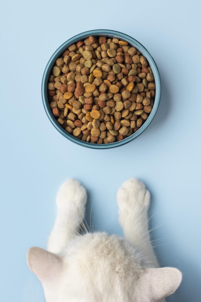 Tiernahrung für Katzen